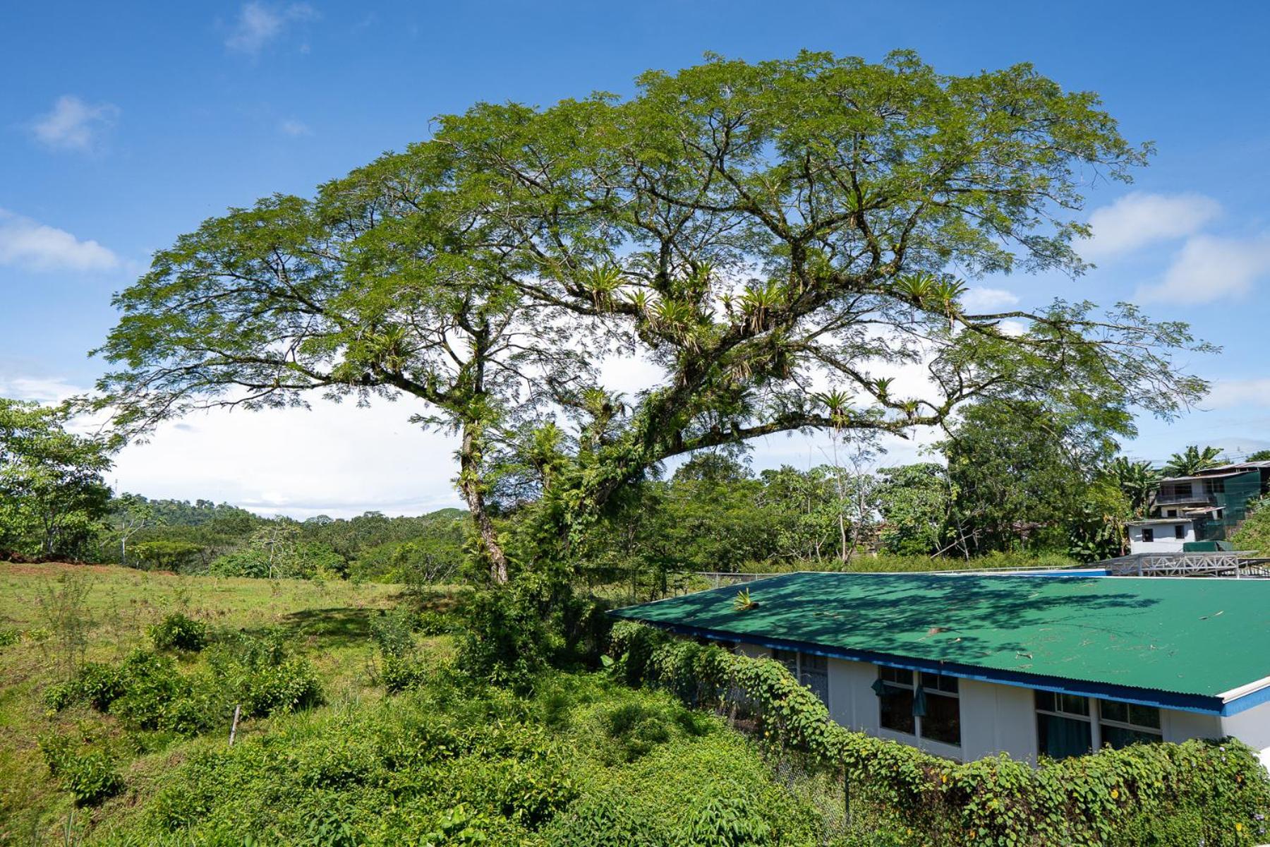 Yellow House Quepos Ngoại thất bức ảnh